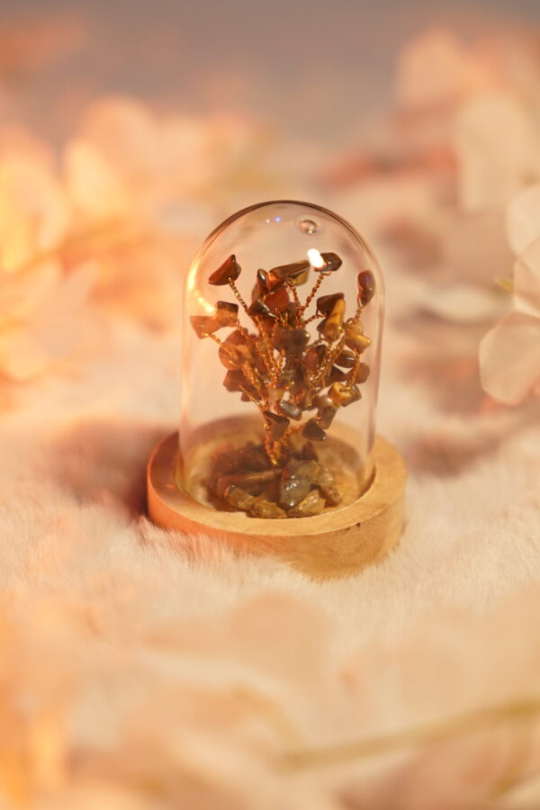 7 Chakra Crystal Stone Tree in Glass Cover with Wooden Base . Goodluck For Home & Office (Tiger Eye )