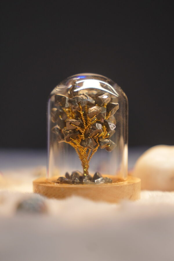 7 Chakra Crystal Stone Tree in Glass Cover with Wooden Base . Money Magnet ( Pyrite )