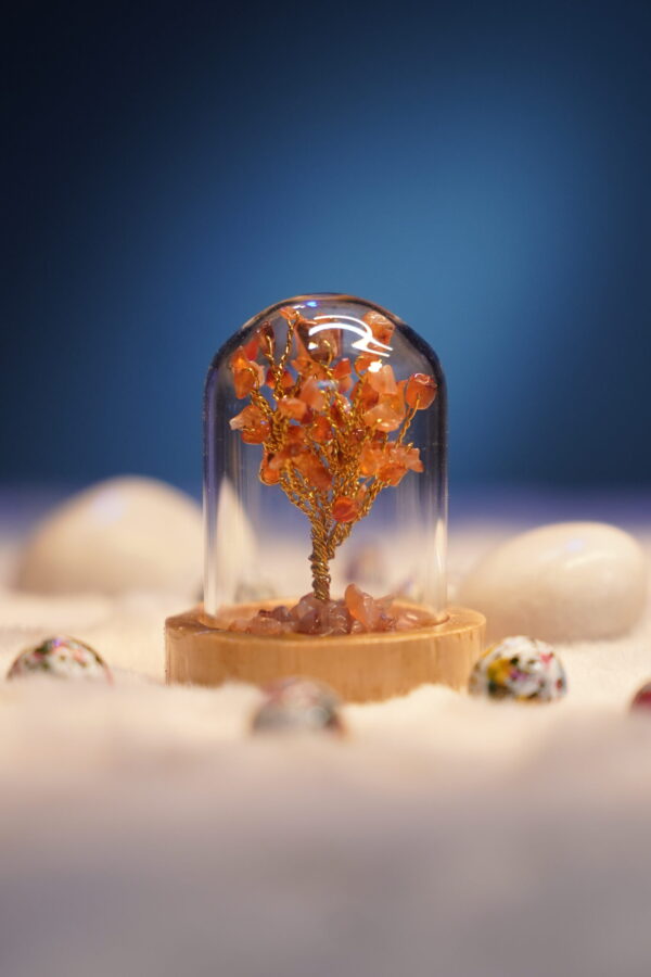 7 Chakra Crystal Stone Tree in Glass Cover with Wooden Base . (Carnelian)