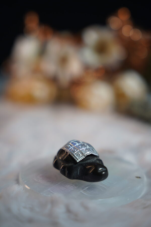 Silver Plated Vastu Yantra Black Crystal Tortoise (4.5 x 3 cm)