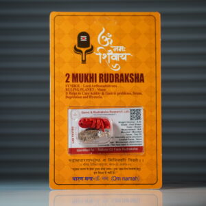 2 Mukhi Rudraksha