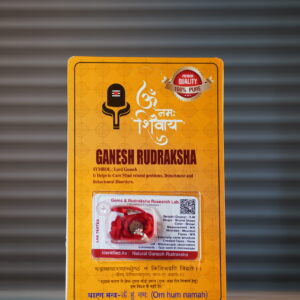 Ganesha Rudraksha
