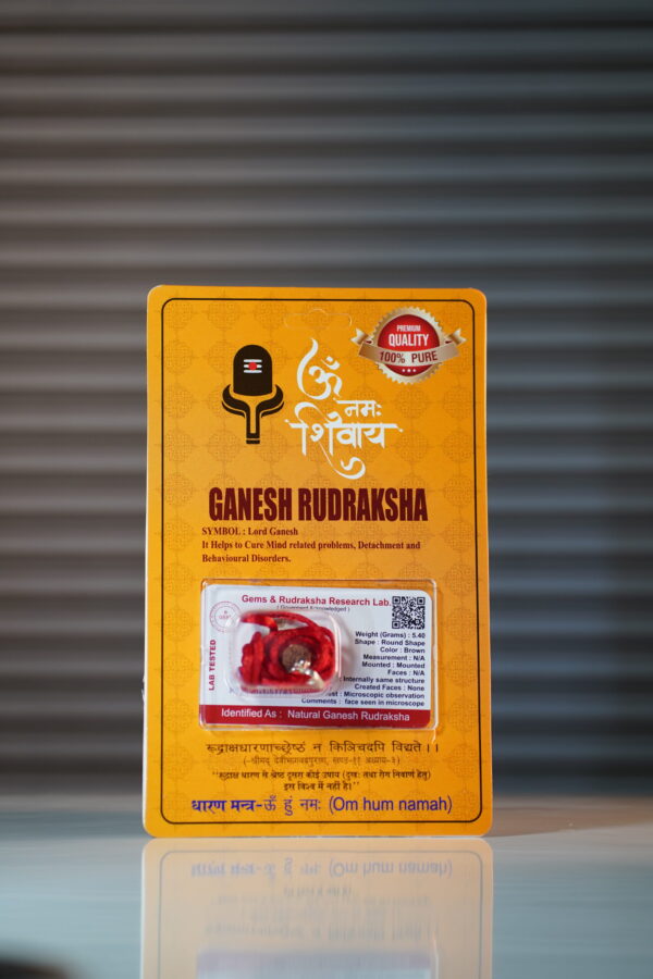 Ganesha Rudraksha
