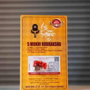 5 Mukhi Rudraksh
