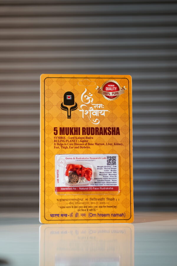 5 Mukhi Rudraksh