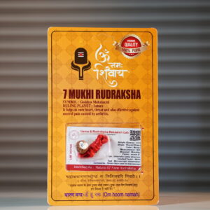 7 Mukhi Rudraksh