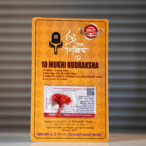 10 Mukhi Rudraksh
