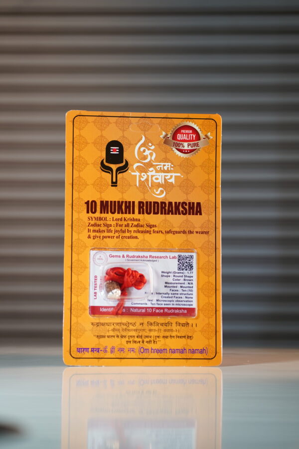 10 Mukhi Rudraksh