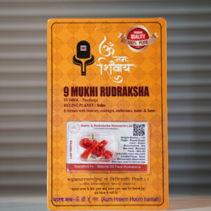 9 Mukhi Rudraksha