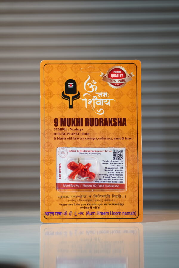 9 Mukhi Rudraksha
