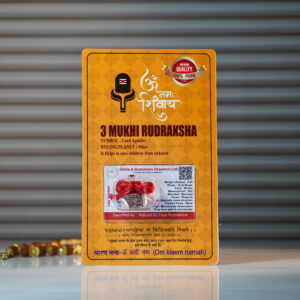 3 Mukhi Rudraksha