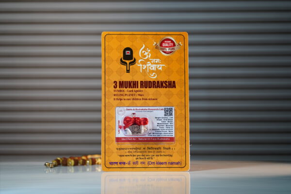 3 Mukhi Rudraksha