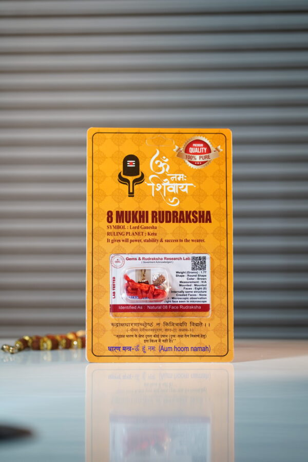 8 Mukhi Rudraksha