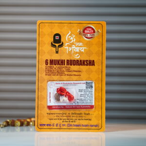 6 Mukhi Rudraksha