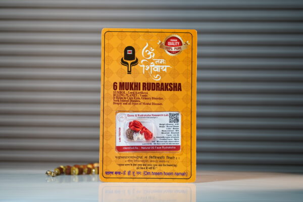 6 Mukhi Rudraksha