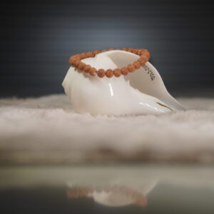 Original Unisex Rudraksha Bracelet